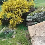 Tapada Carvalhas Casa rural