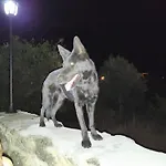 Tapada Carvalhas *