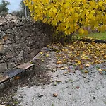Casa rural Tapada Carvalhas Castelo Branco (Centro)