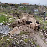 Casa rural Tapada Carvalhas *