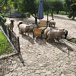 Tapada Carvalhas Casa rural Castelo Branco (Centro)