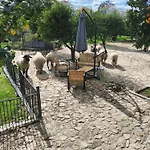 Tapada Carvalhas Casa rural Castelo Branco (Centro)