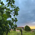 Tapada Carvalhas Castelo Branco (Centro)