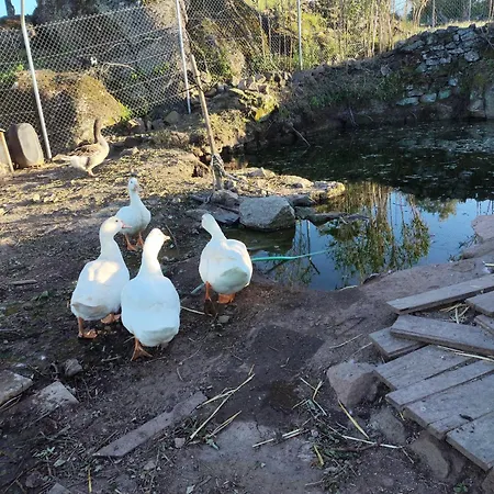 Tapada Carvalhas Lantställe *