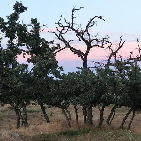 Tapada Carvalhas Kır Evi Castelo Branco (Centro)