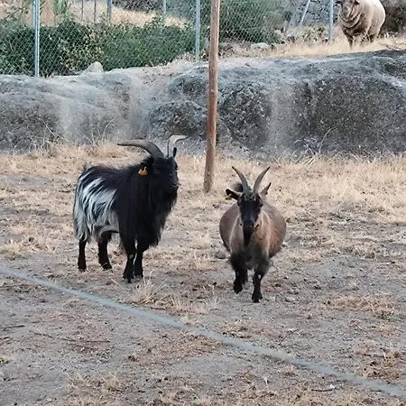 Tapada Carvalhas Kır Evi Castelo Branco (Centro)