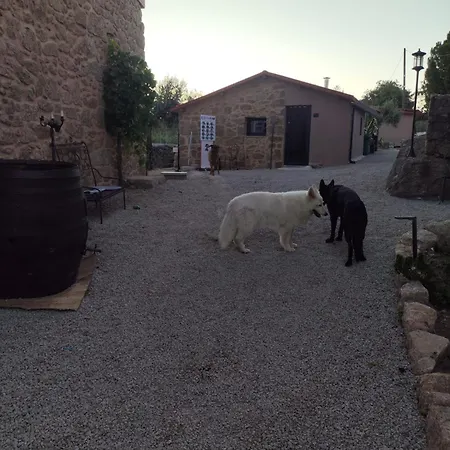 Tapada Carvalhas * Castelo Branco (Centro)