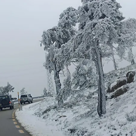 Tapada Carvalhas * Castelo Branco (Centro)