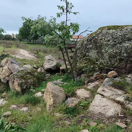 Lantställe Tapada Carvalhas Castelo Branco (Centro)