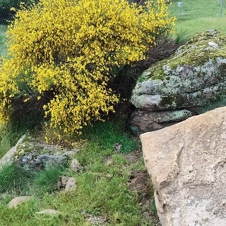 Tapada Carvalhas Kır Evi