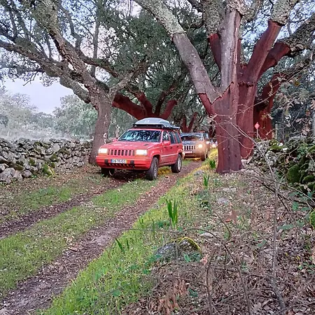 Kır Evi Tapada Carvalhas *