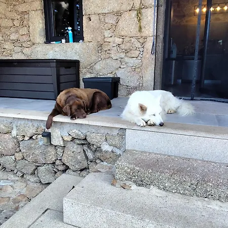 Tapada Carvalhas Castelo Branco (Centro)