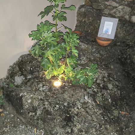 Tapada Carvalhas Lantställe