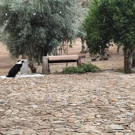 Εξοχικό σπίτι Tapada Carvalhas *
