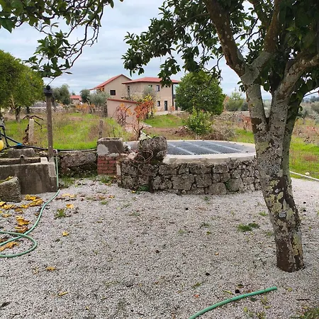 Gospodarstwo wiejskie Tapada Carvalhas Castelo Branco (Centro)