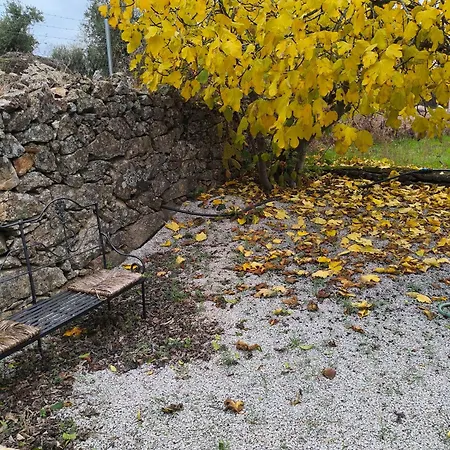 Lantställe Tapada Carvalhas Castelo Branco (Centro)