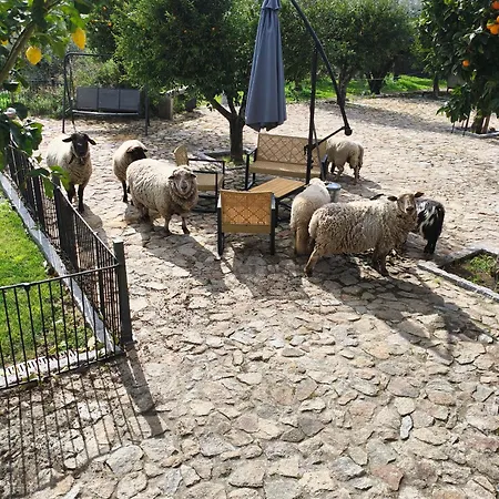 Tapada Carvalhas Country house Castelo Branco (Centro)