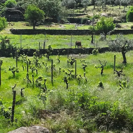 Tapada Carvalhas *
