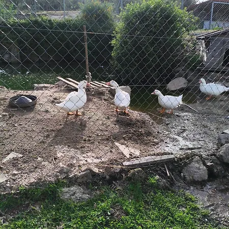 Tapada Carvalhas Εξοχικό σπίτι *