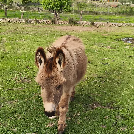 Tapada Carvalhas Εξοχικό σπίτι *