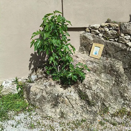 Tapada Carvalhas Εξοχικό σπίτι