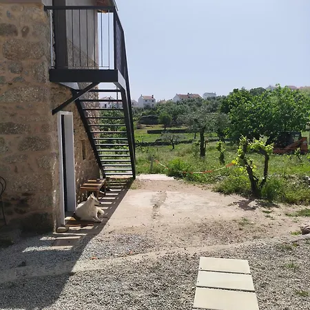 Tapada Carvalhas Εξοχικό σπίτι Καστέλο Μπράνκο