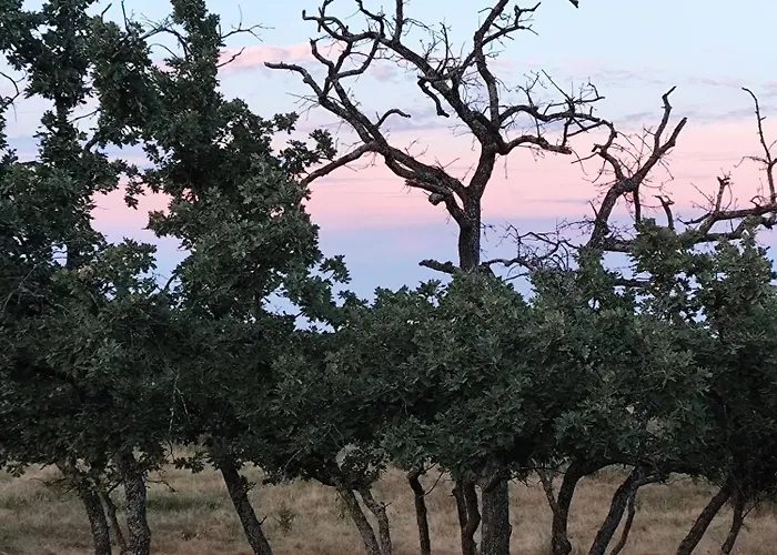 Tapada Carvalhas Casa de Campo Castelo Branco (Centro)