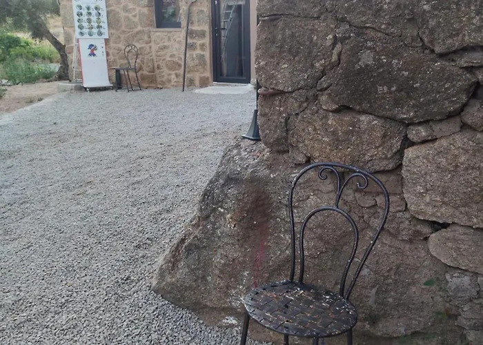 Gospodarstwo wiejskie Tapada Carvalhas *