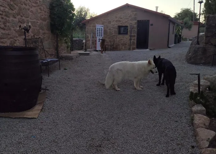 Tapada Carvalhas * Castelo Branco (Centro)