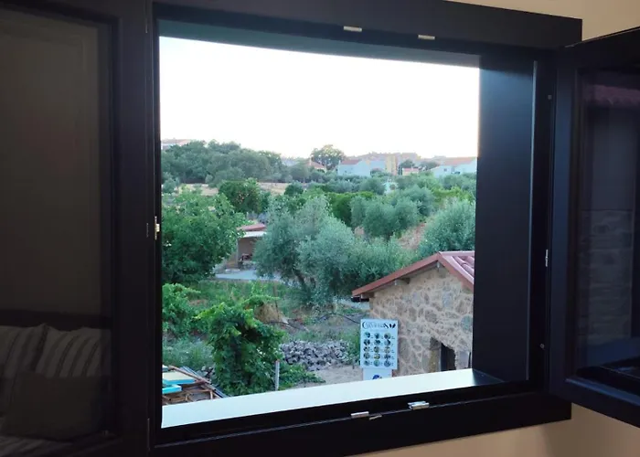 Tapada Carvalhas Gospodarstwo wiejskie Castelo Branco (Centro)