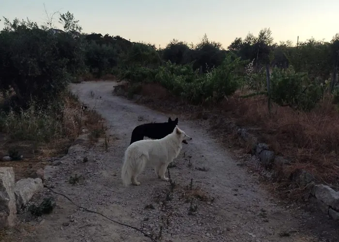 Tapada Carvalhas * Castelo Branco (Centro)