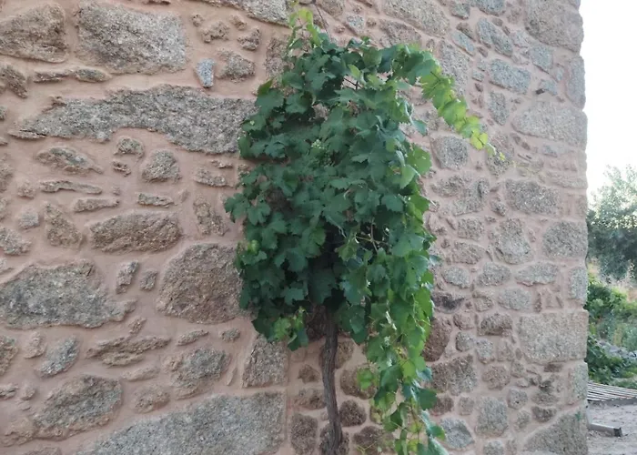 Tapada Carvalhas Castelo Branco (Centro)