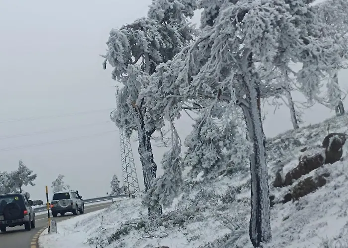 Tapada Carvalhas * Castelo Branco (Centro)