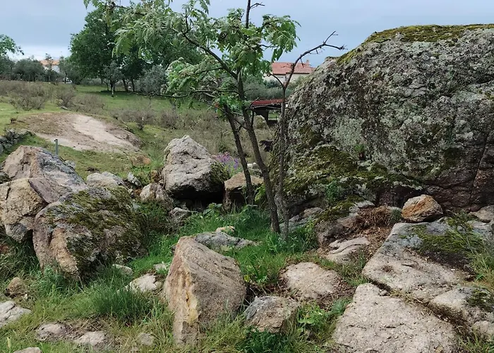 Gospodarstwo wiejskie Tapada Carvalhas Castelo Branco (Centro)