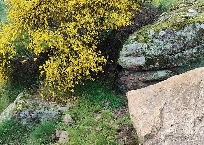 Tapada Carvalhas Casa de Campo