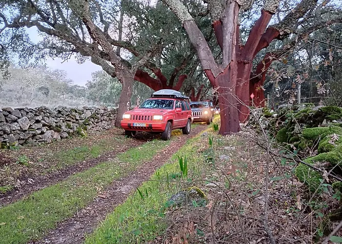 Gospodarstwo wiejskie Tapada Carvalhas *