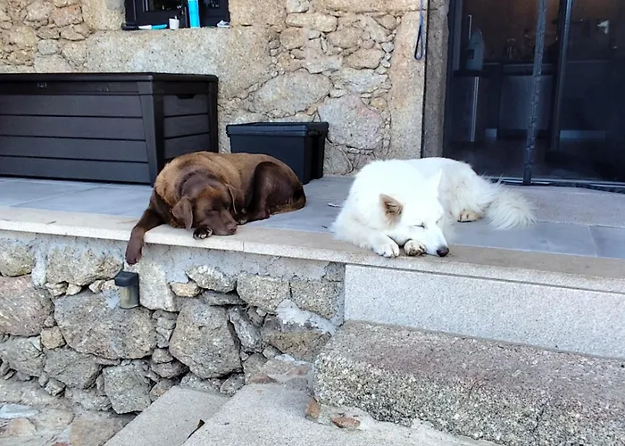 Tapada Carvalhas Castelo Branco (Centro)