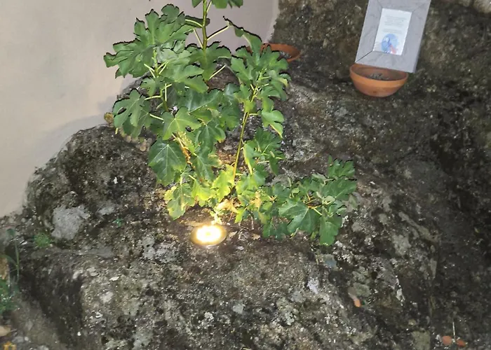 Tapada Carvalhas Gospodarstwo wiejskie