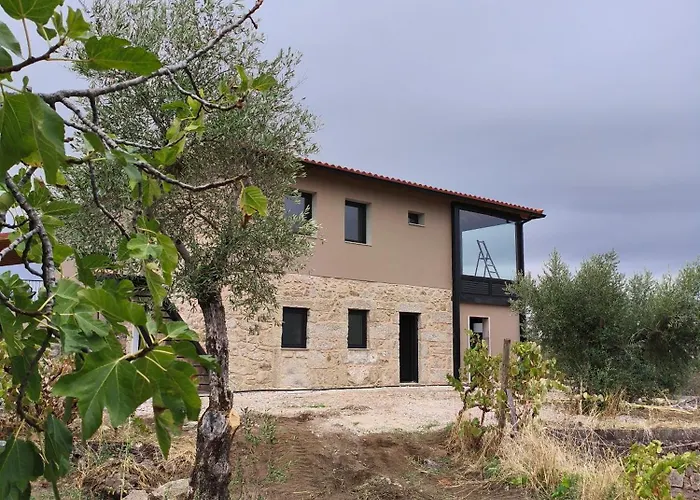 Tapada Carvalhas Gospodarstwo wiejskie