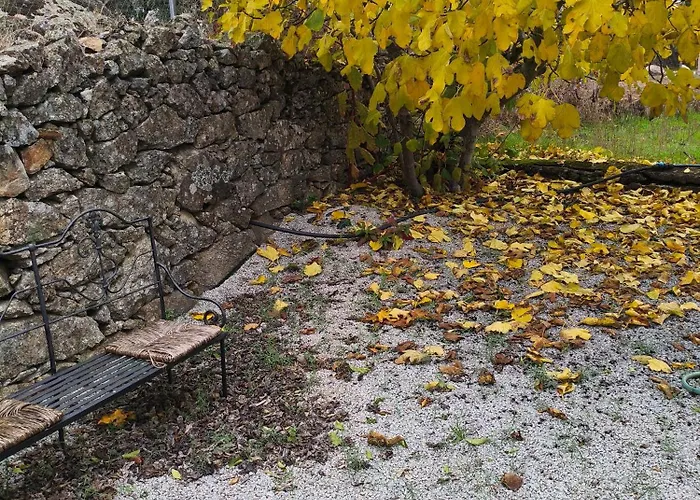 Gospodarstwo wiejskie Tapada Carvalhas Castelo Branco (Centro)