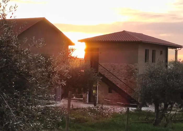 Gospodarstwo wiejskie Tapada Carvalhas *